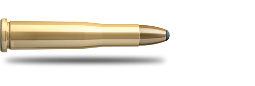 Náboj SB 22 Hornet 2911 SP 2,9 g